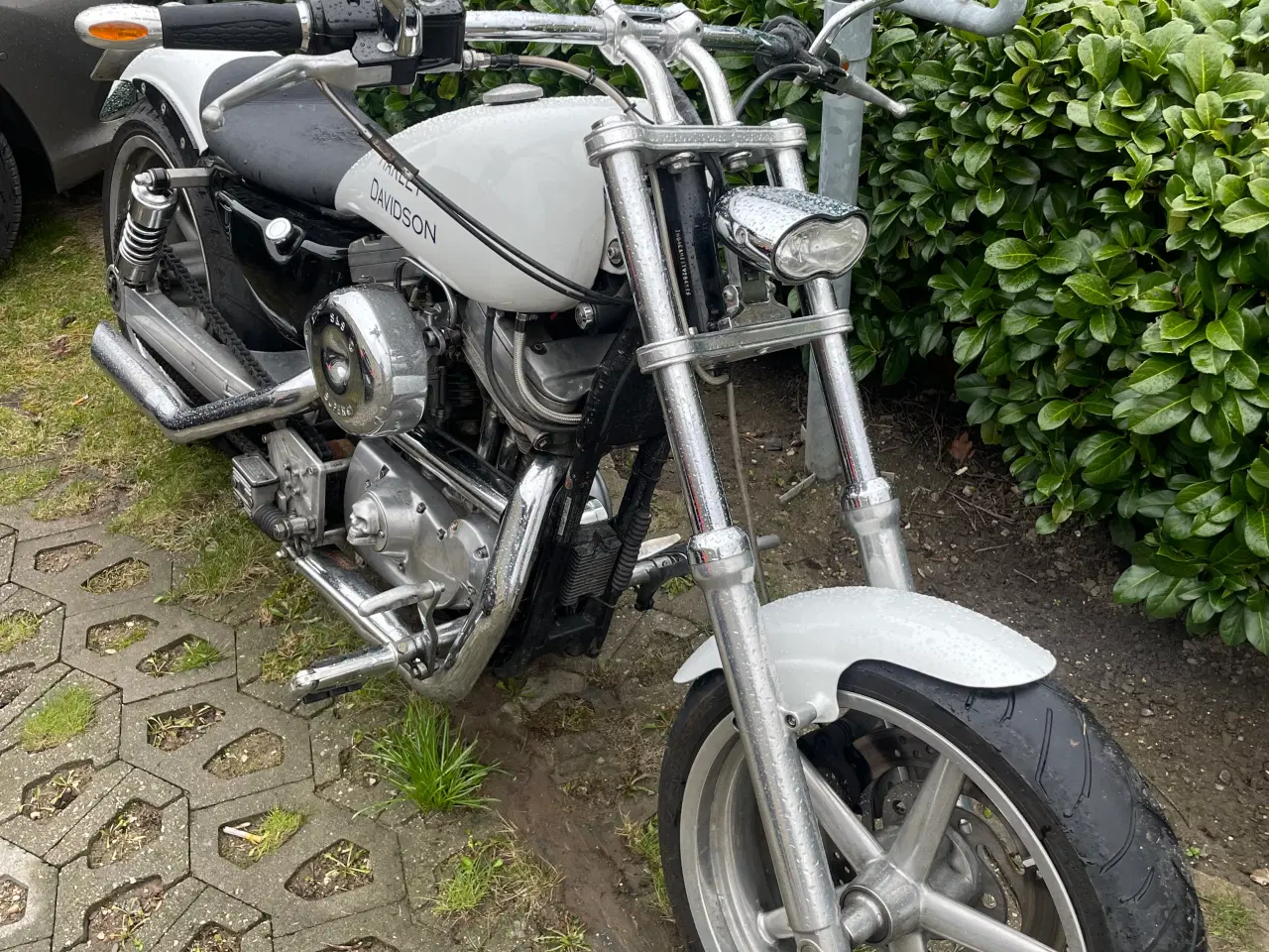 Billede 7 - Harley-Davidson XL883C Sportster Custom, 883 ccm, 