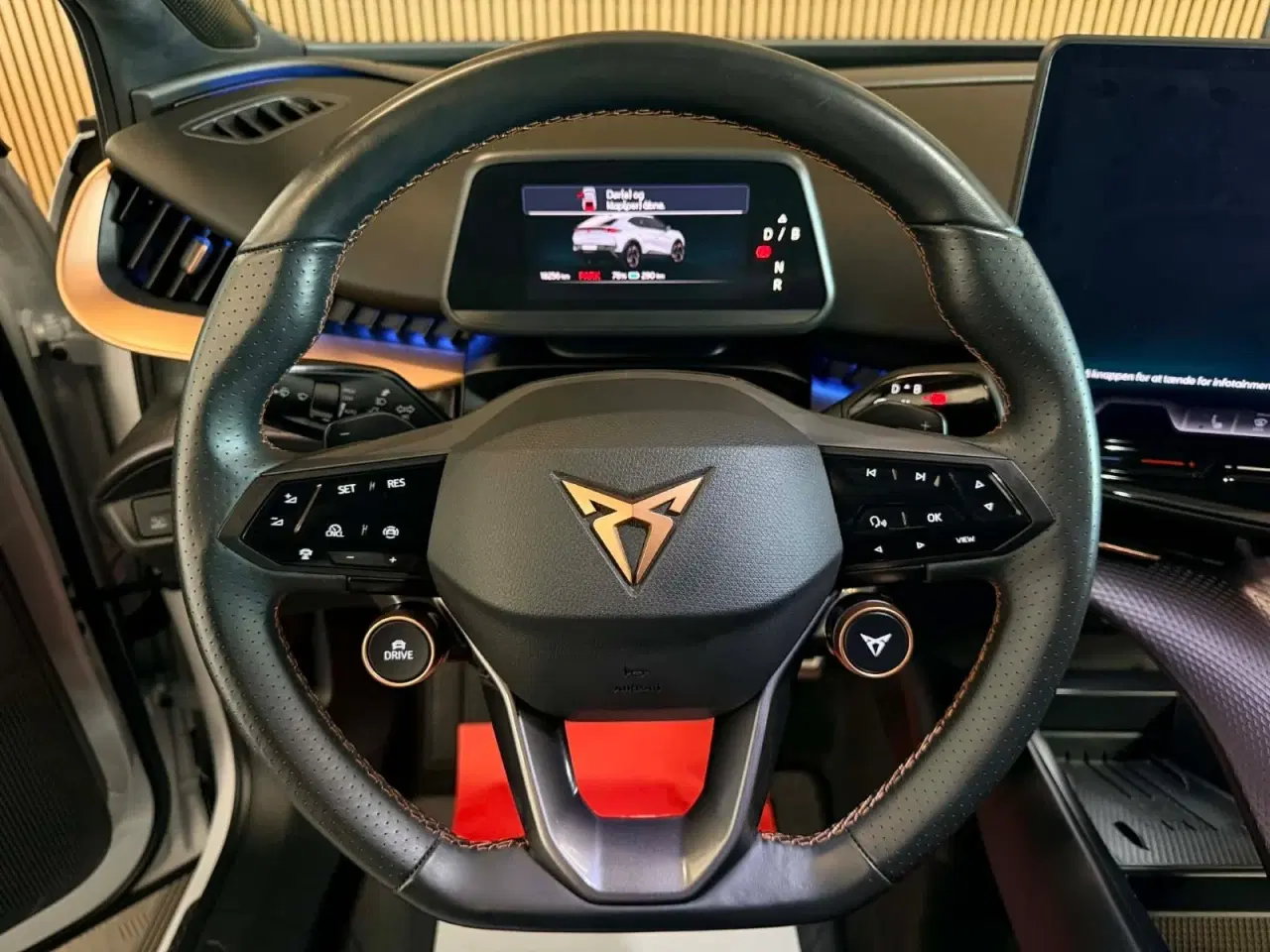 Billede 10 - Cupra Tavascan 77 Endurance
