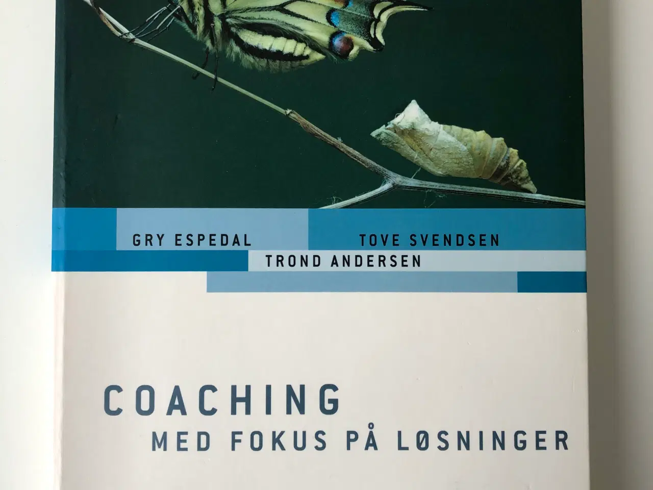 Billede 1 - Coaching med fokus på løsninger