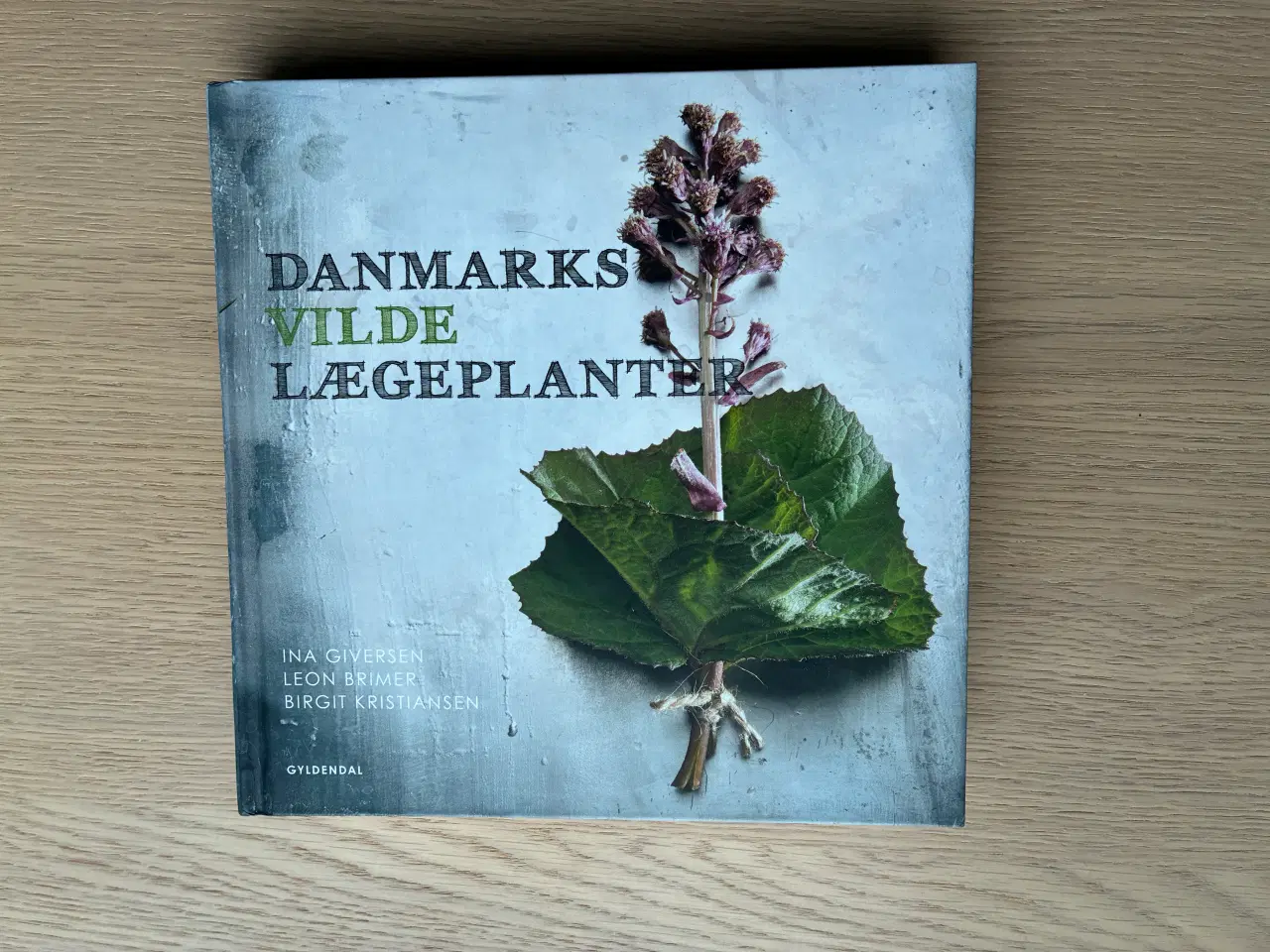 Billede 1 - Danmarks Vilde Lægeplanter