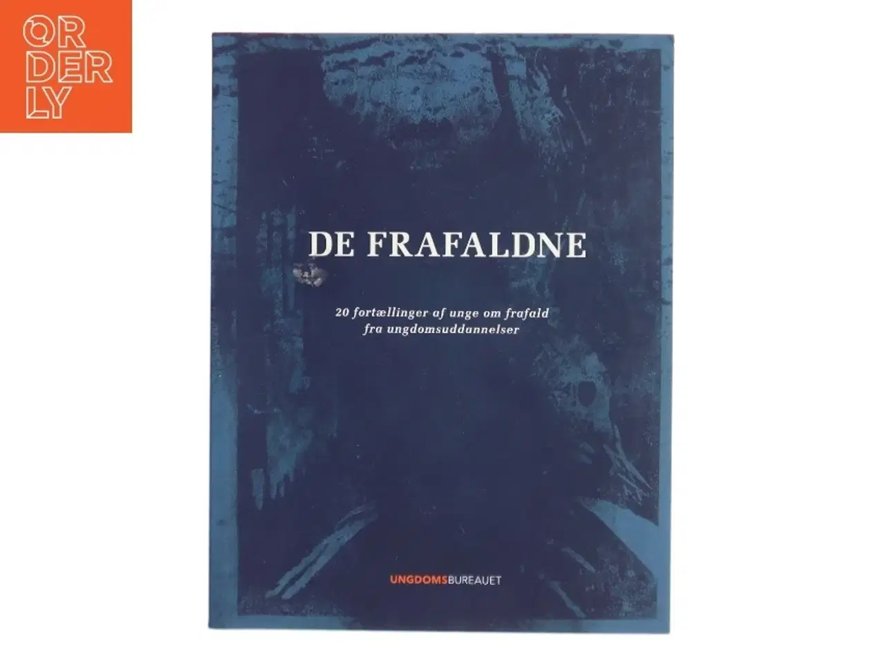 Billede 1 - De frafaldne : 20 fortællinger af unge om frafald fra ungdomsuddannelser (Bog)