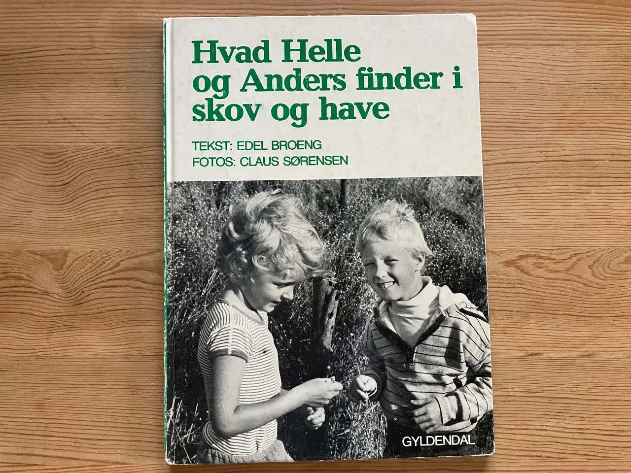 Billede 2 - Undersøg årstiden og Hvad Helle og Anders finder