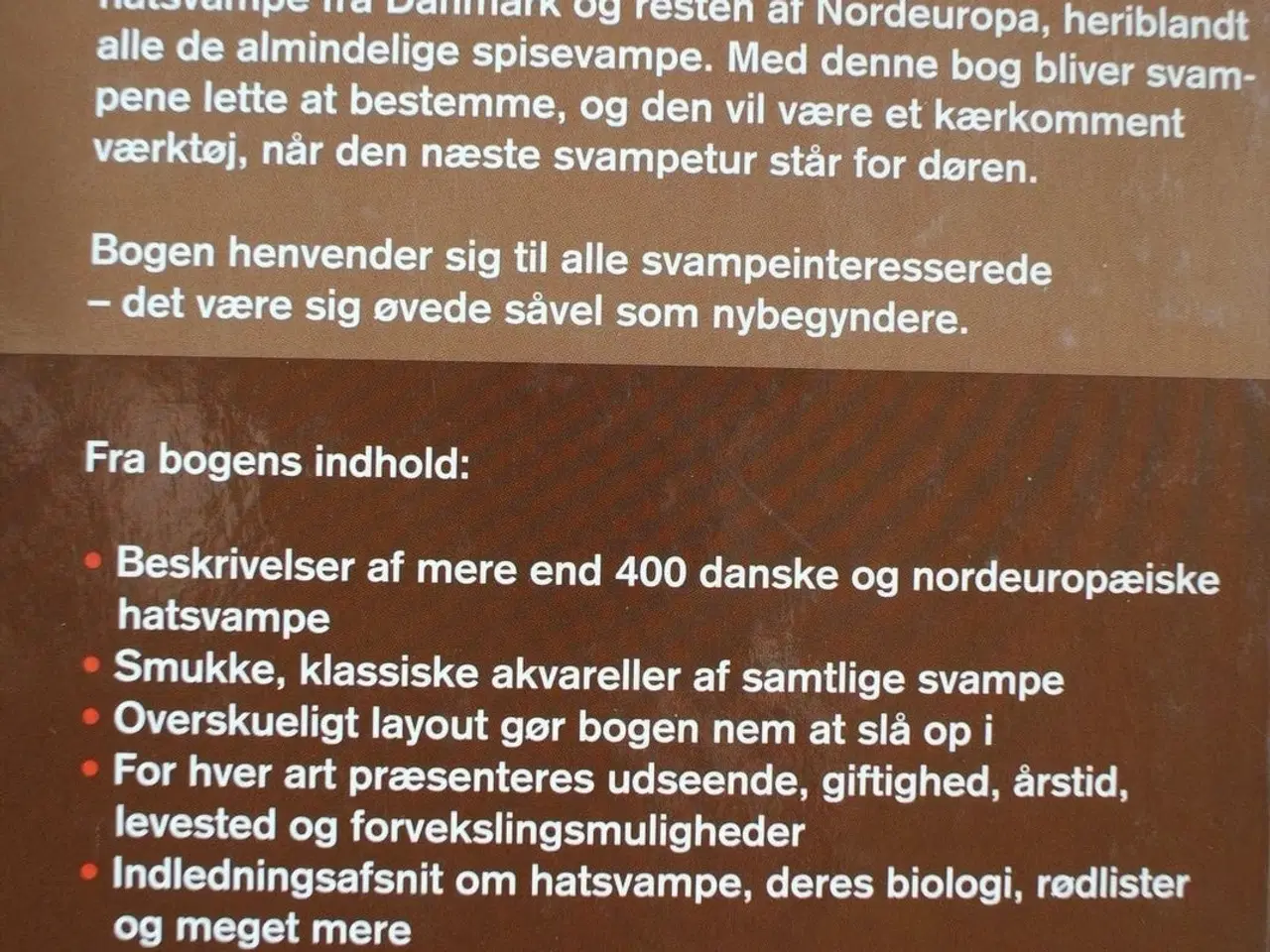 Billede 4 - svampe i farver, af henning knudsen