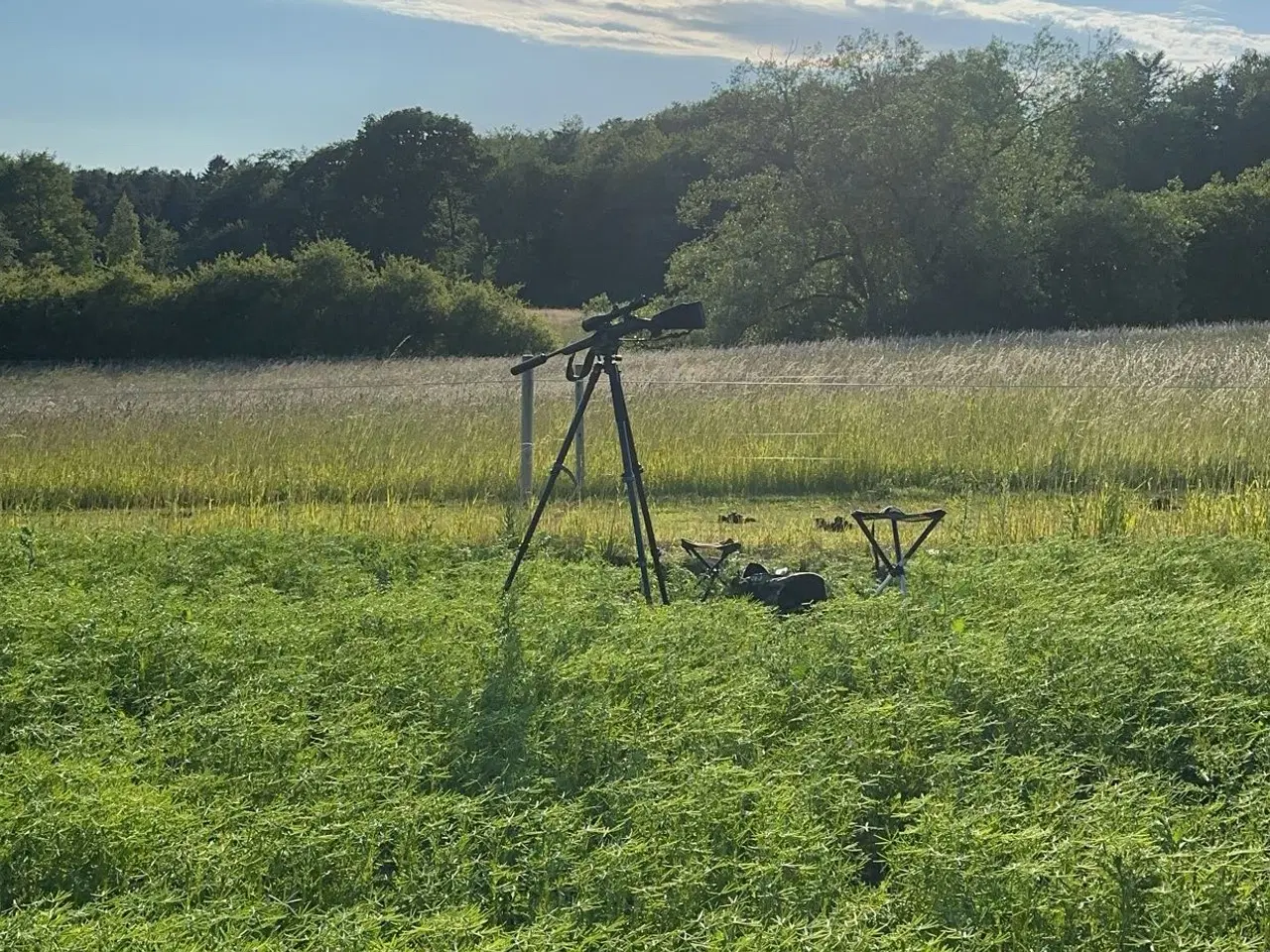 Billede 5 - Schultz og Larsen classic dl 308 Win