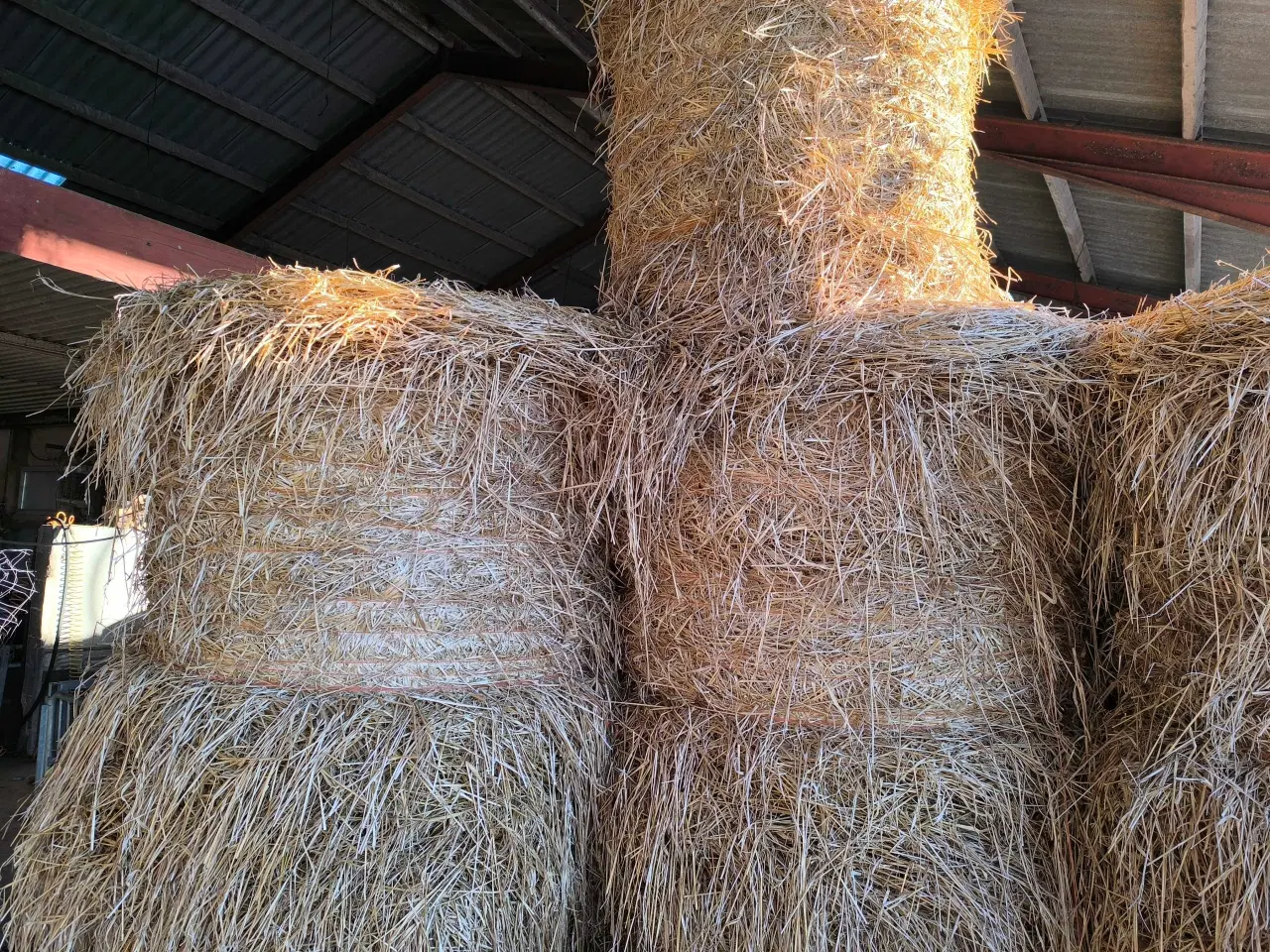 Billede 1 - byghalm