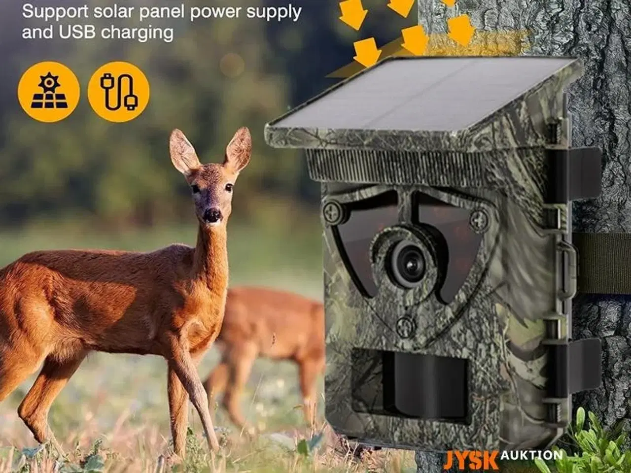 Billede 1 - VILDTKAMERA med