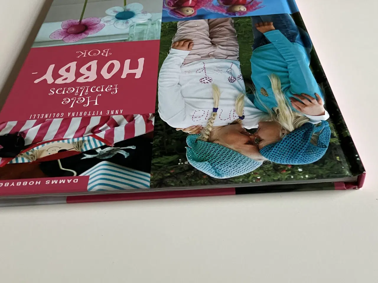 Billede 10 - Hele familiens hobbybok (Norsk)