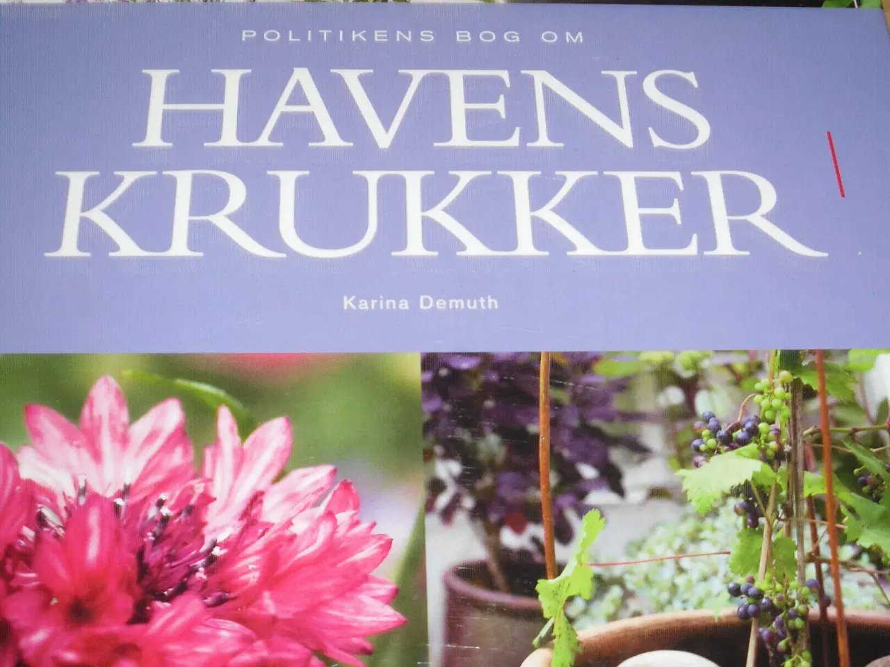 Billede 1 - Politikens bog om HAVENS KRUKKER.