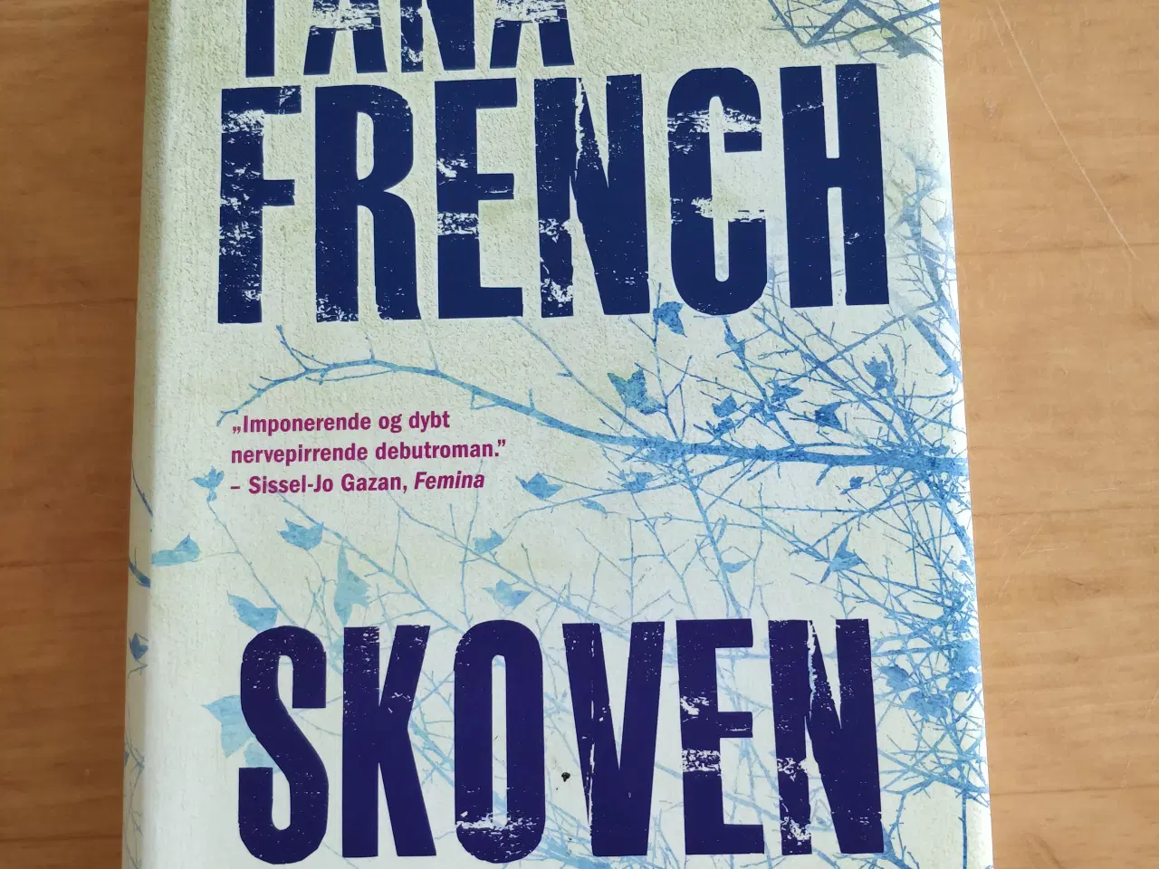 Billede 1 - Skoven, Tana French