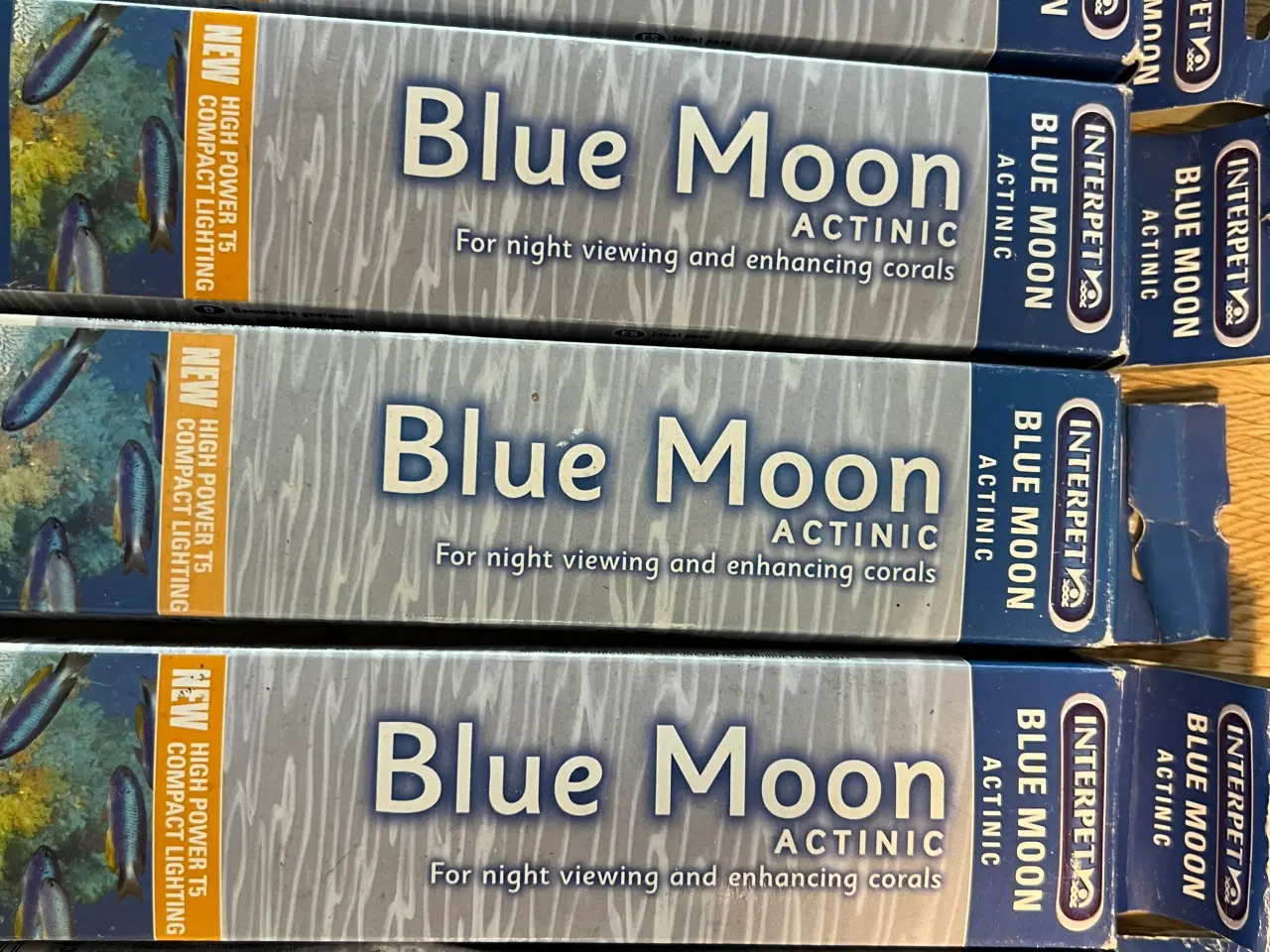 Billede 6 - Pære/Lysstofrør fra Interpet