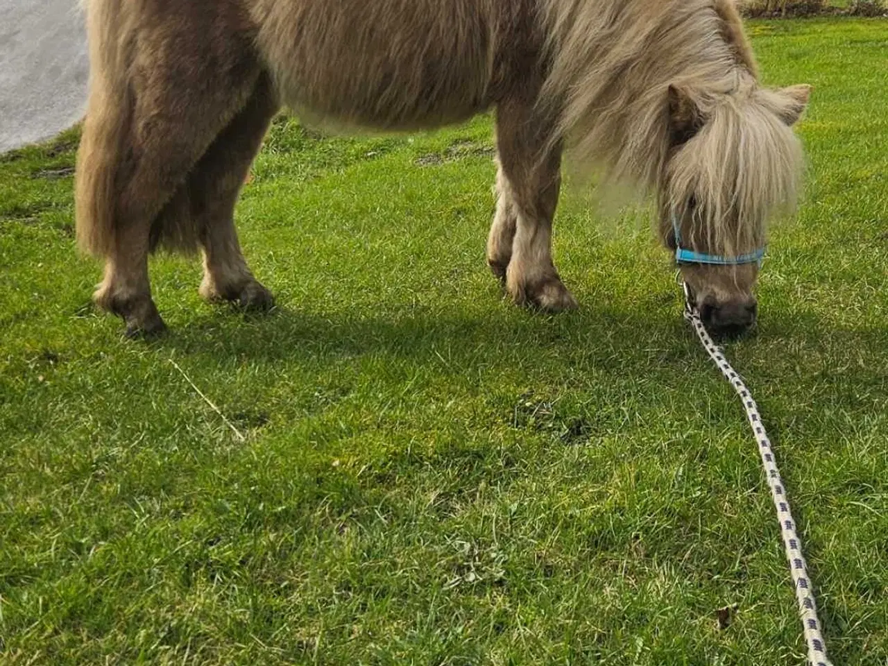 Billede 4 - 2 unikke drenge med fuld tavle 