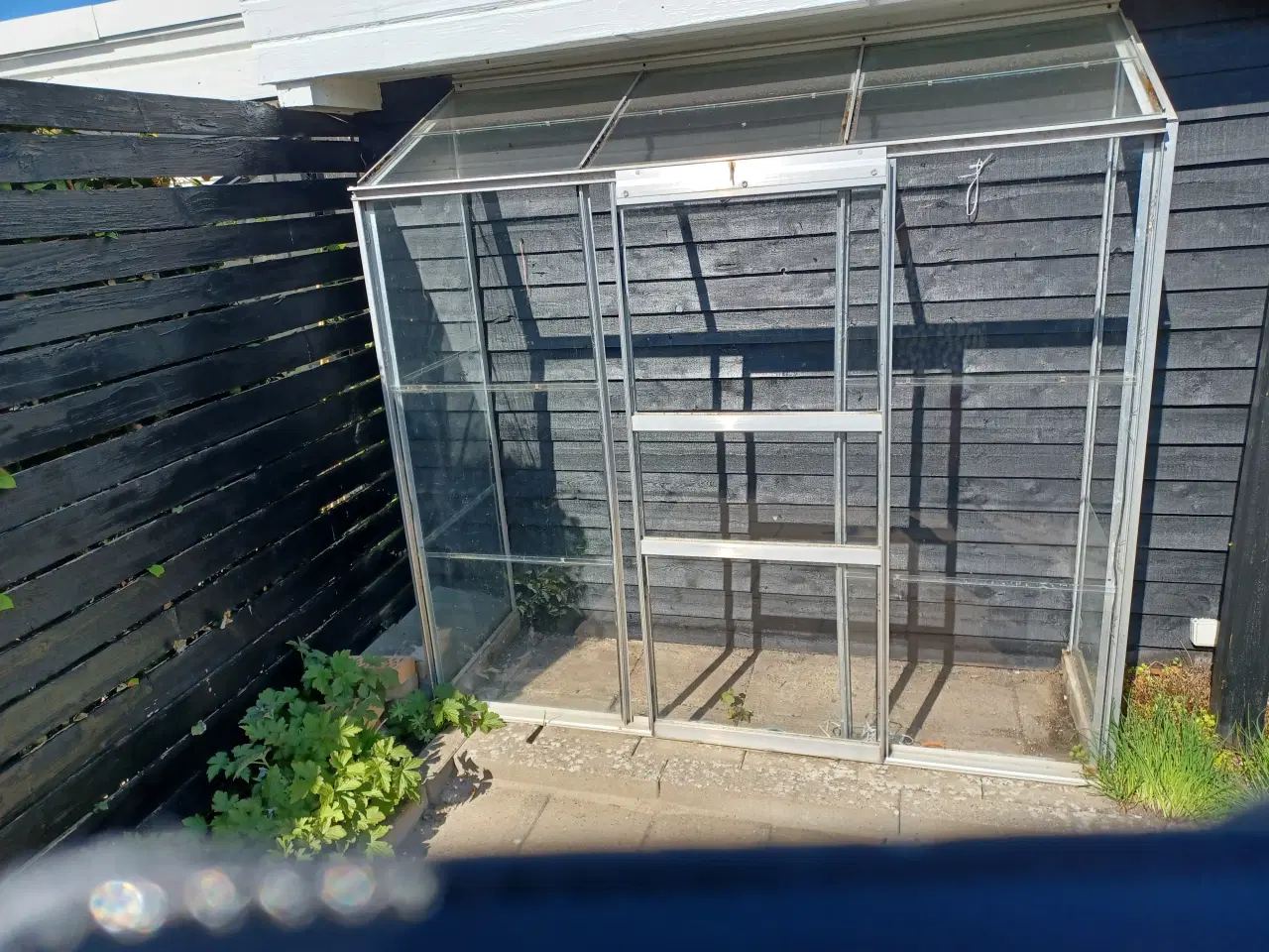 Billede 1 - Gratis drivhus.