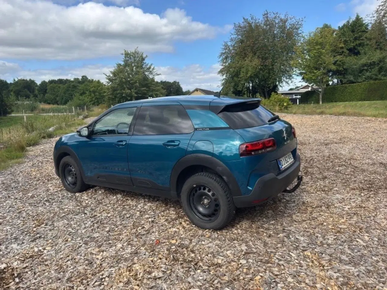 Billede 3 - Citroën C4 Cactus 1,6 BlueHDi 100 SkyLine