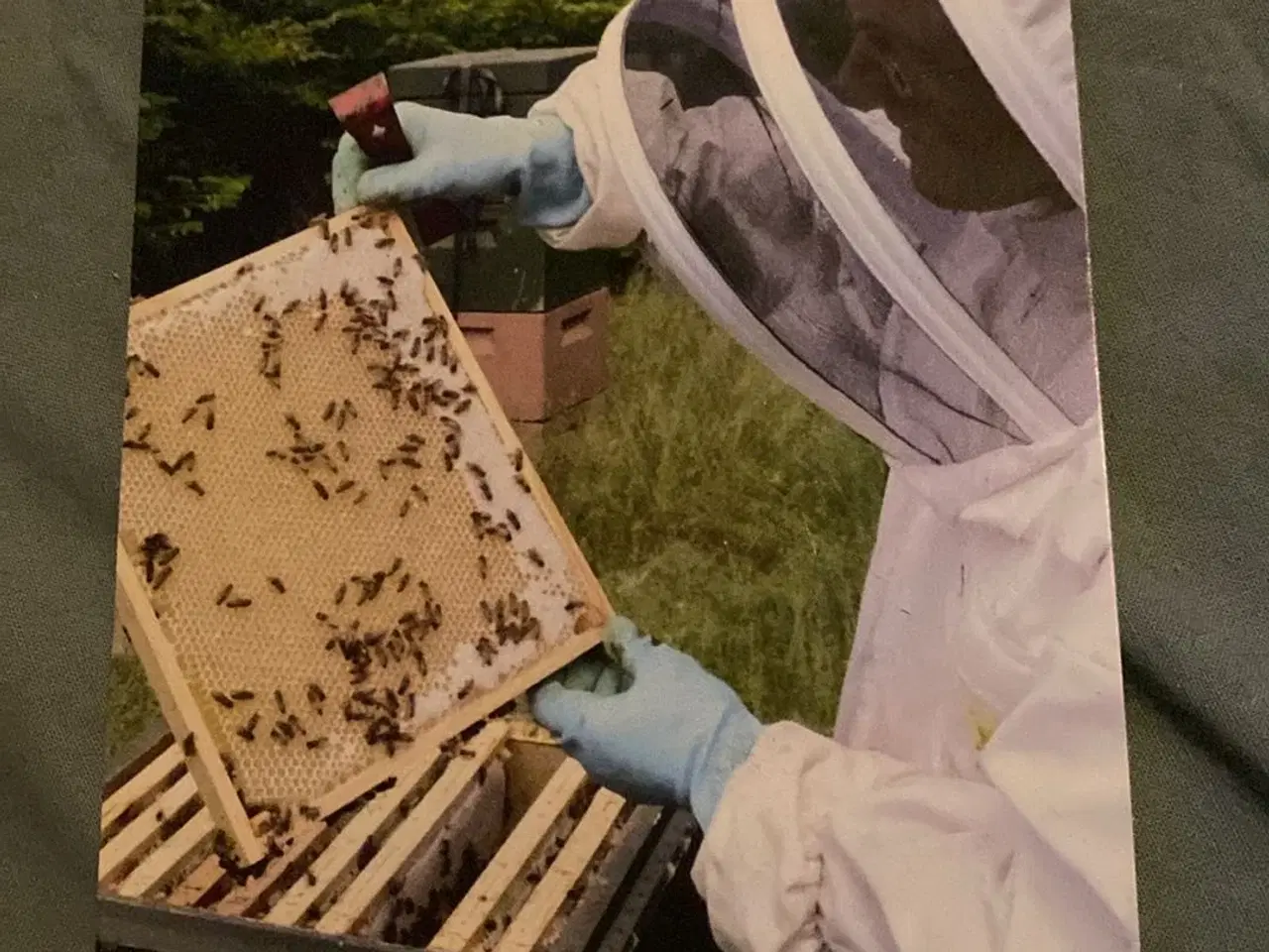 Billede 1 - KB Rammer - Birammer produceres