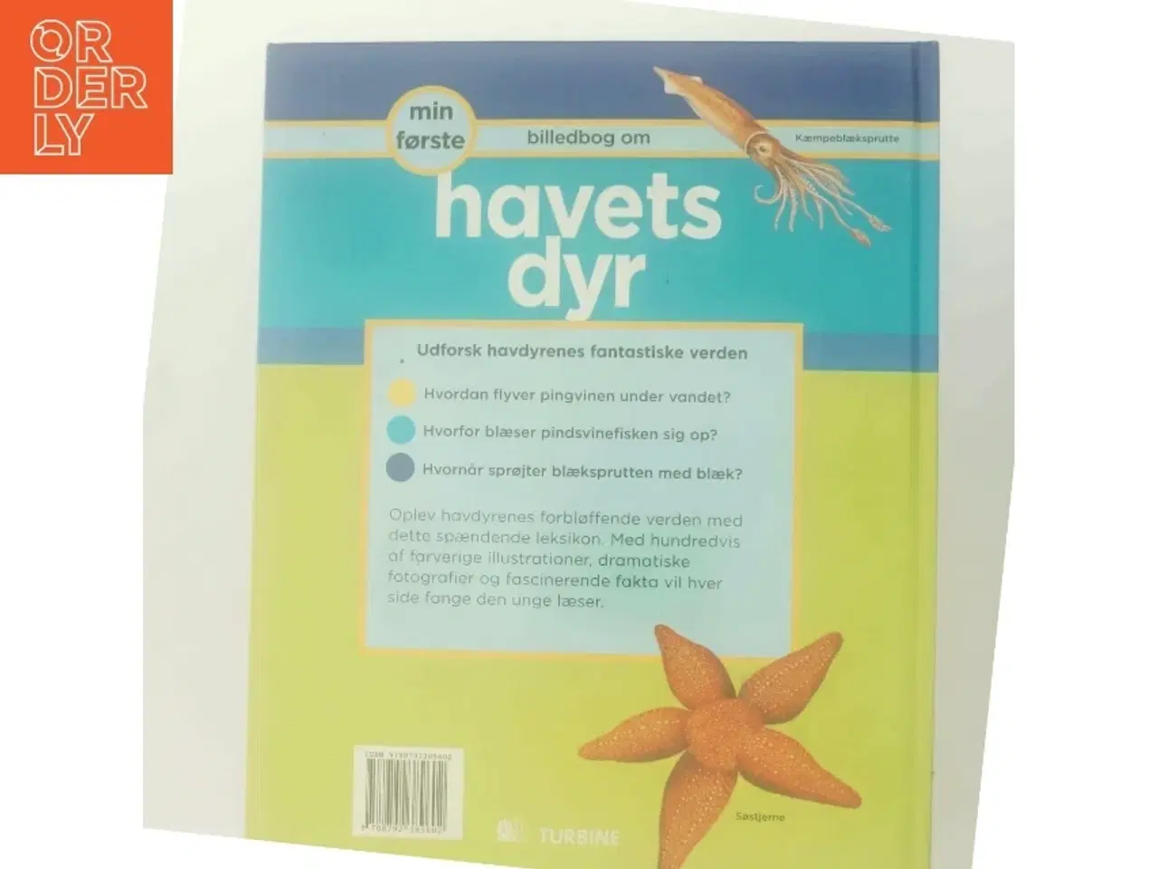 Billede 3 - Min første billedbog om havets dyr af Robert Coupe (Bog)
