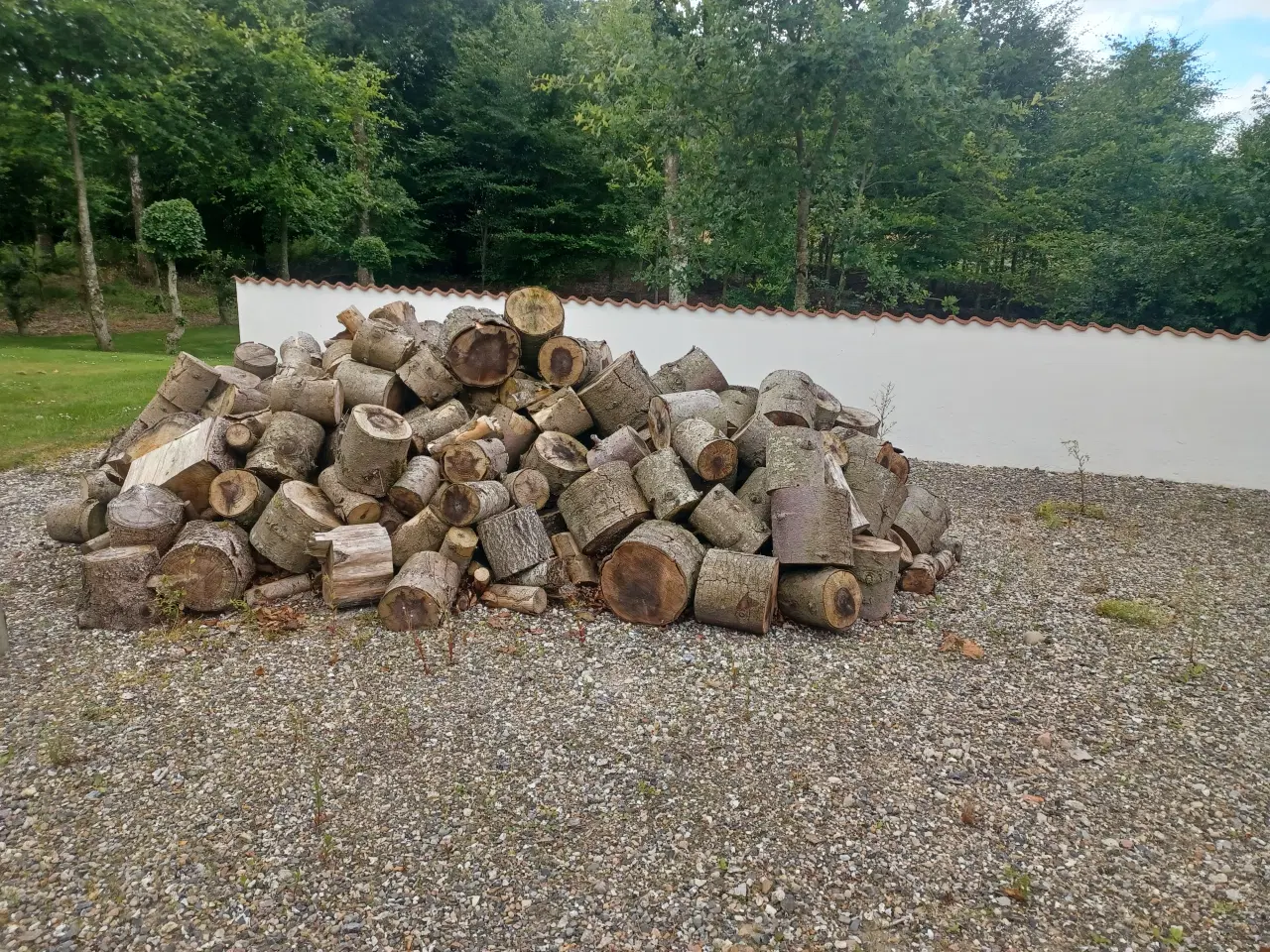 Billede 4 - Brænde sælges 