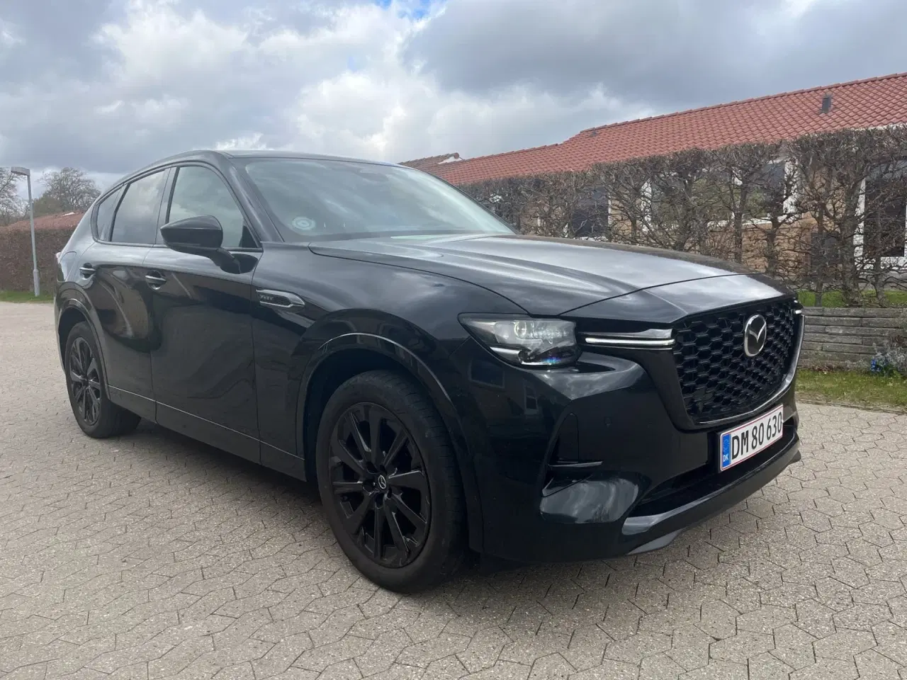 Billede 1 - Mazda CX-5 2,5 SkyActiv-G 194 Homura aut.