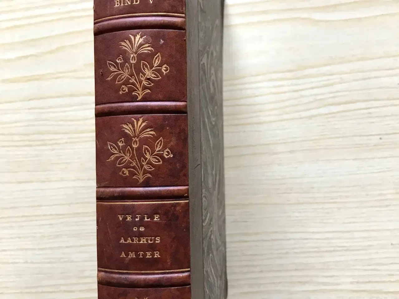 Billede 1 - Større danske landbrug, bind V