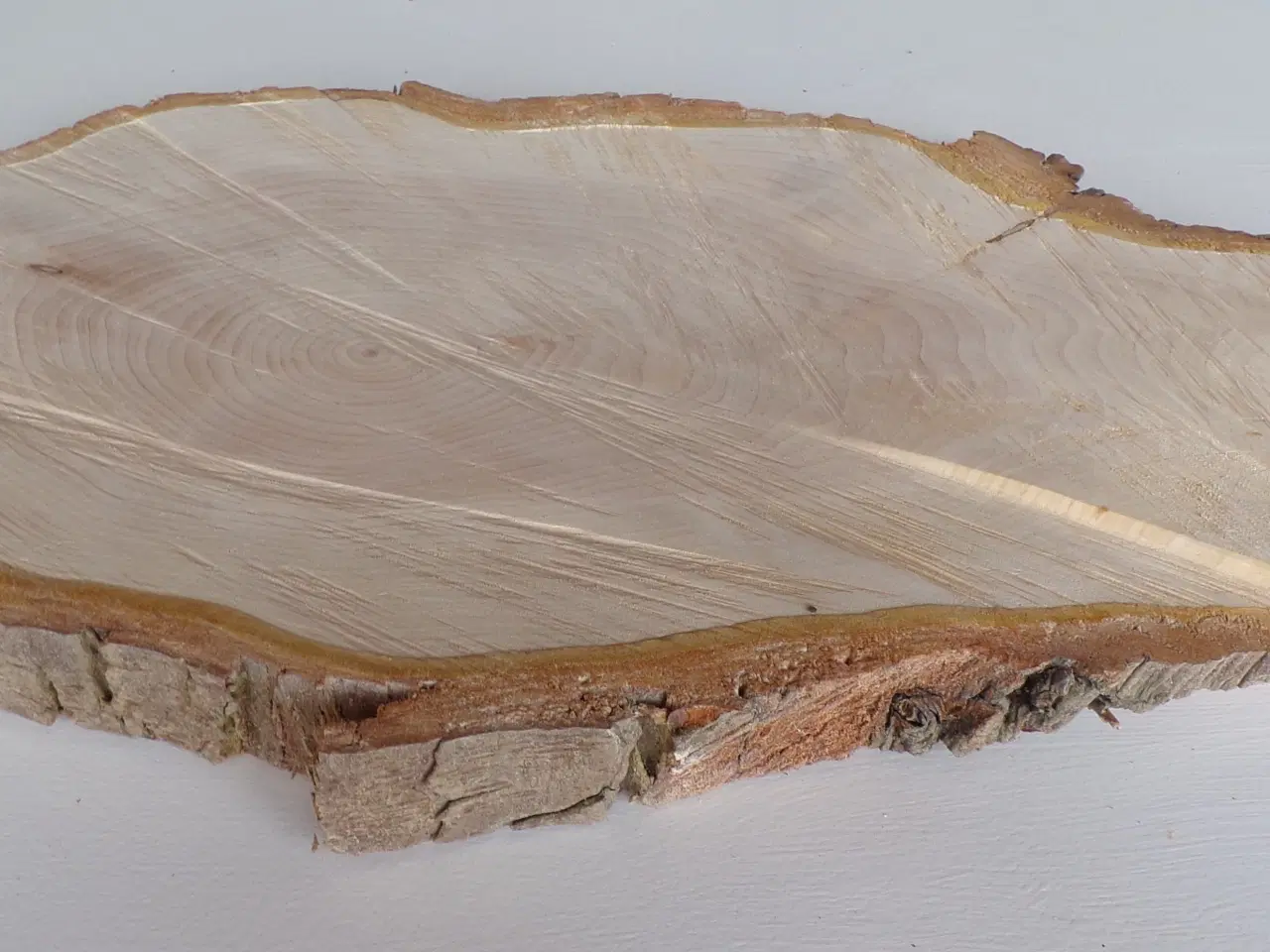 Billede 2 - NY Thuja Træskive med bark 44 cm lang