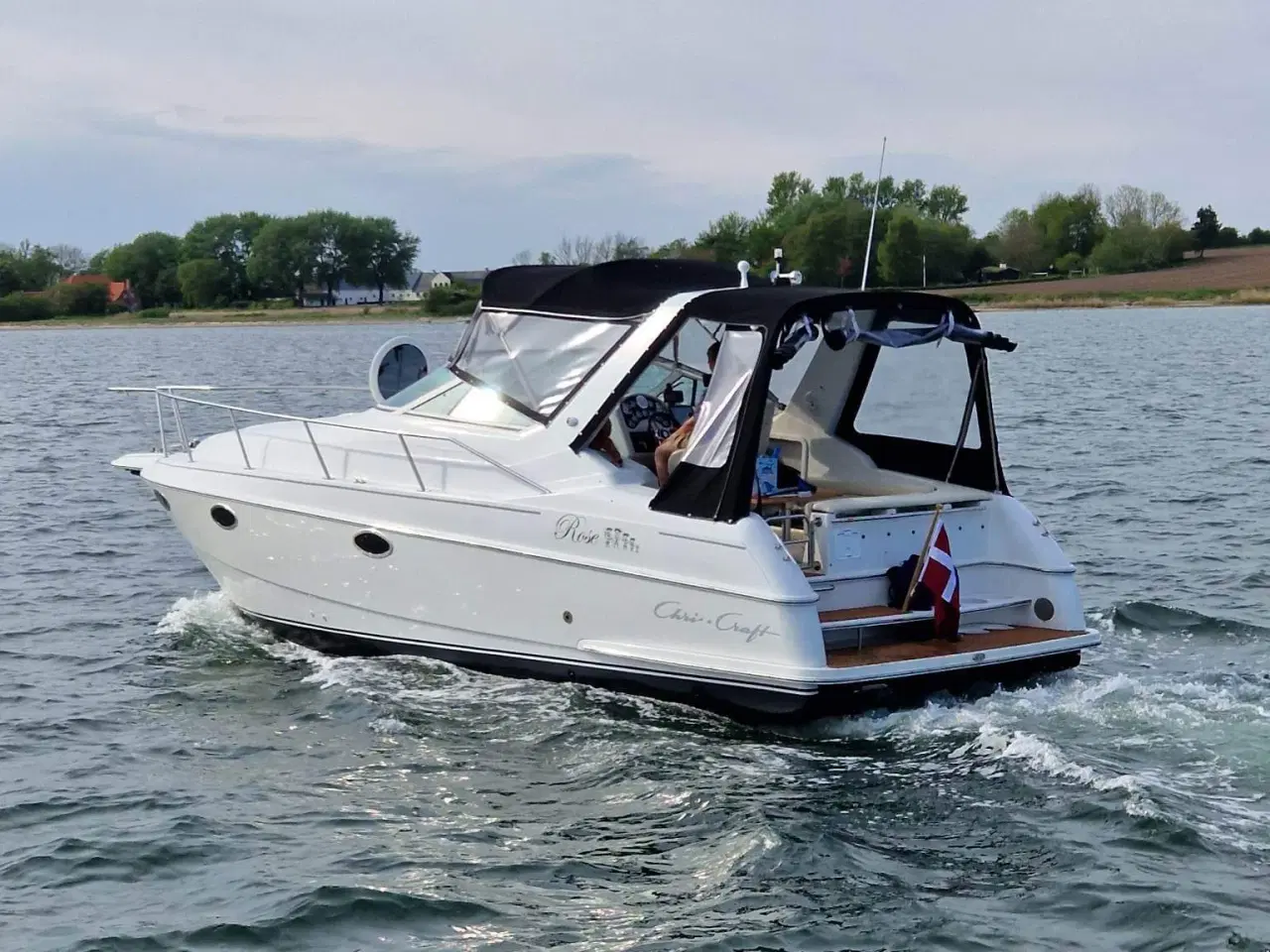 Billede 13 - Chris Craft 302 crowne