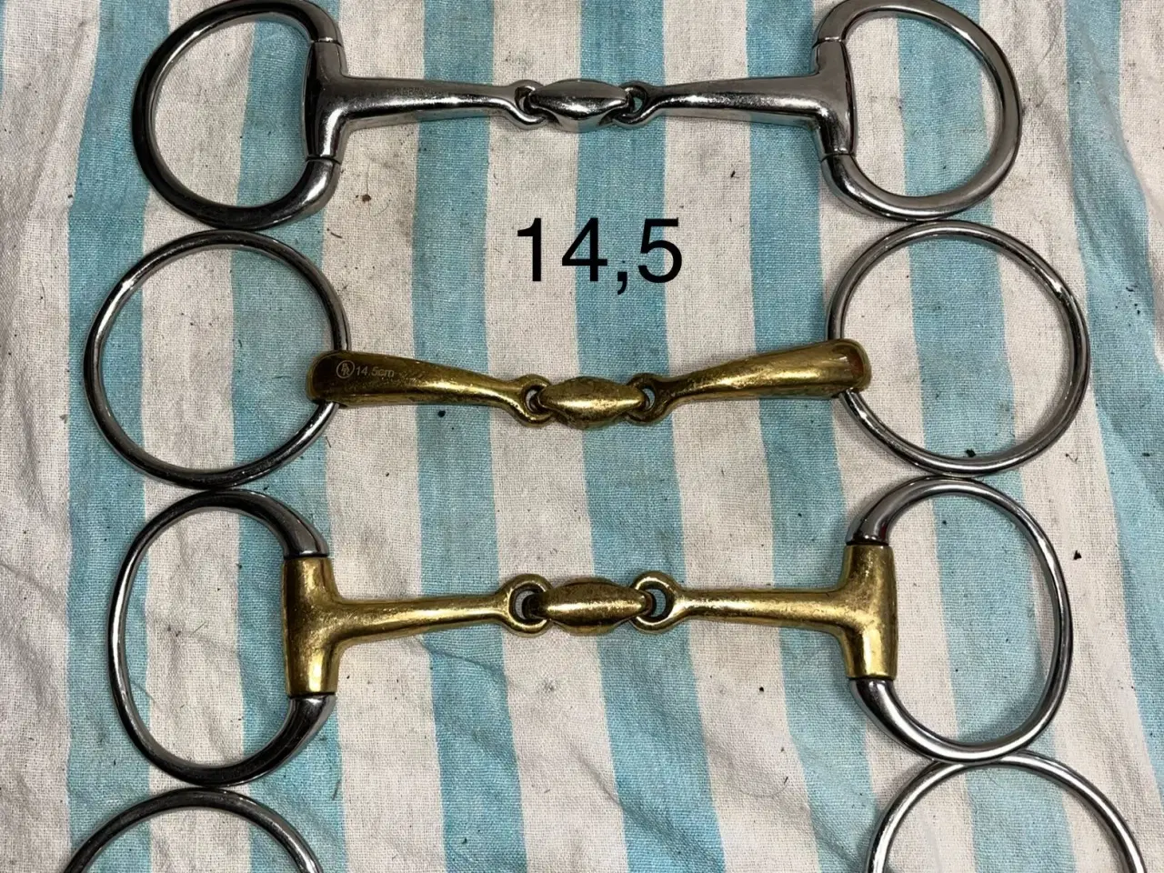 Billede 5 - Masser af  bid