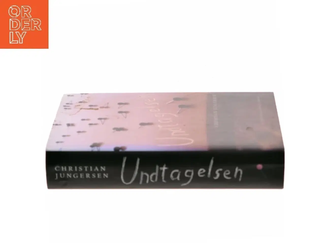 Billede 2 - Undtagelsen : roman af Christian Jungersen (Bog)