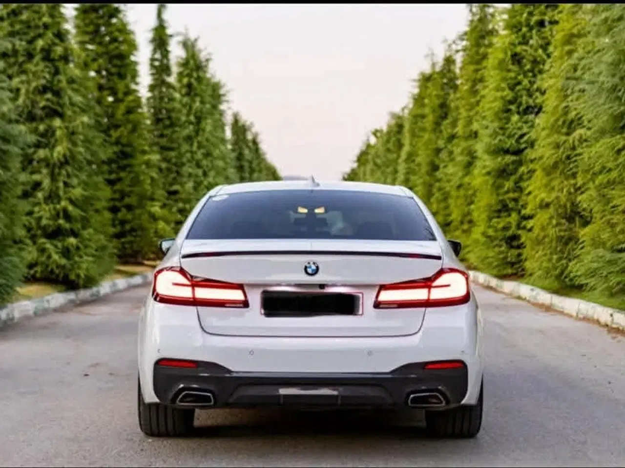 Billede 5 - BMW 530d 3,0 M-Sport aut.