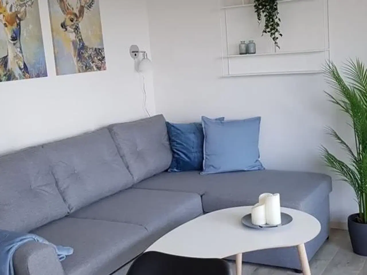 Billede 5 - Nye feriehuse ved Limfjorden nær Aalborg - Opvarmet minivandland, legeplads, cafe, gratis WIFi, åbent hele året, i hjertet af Nordjylland.