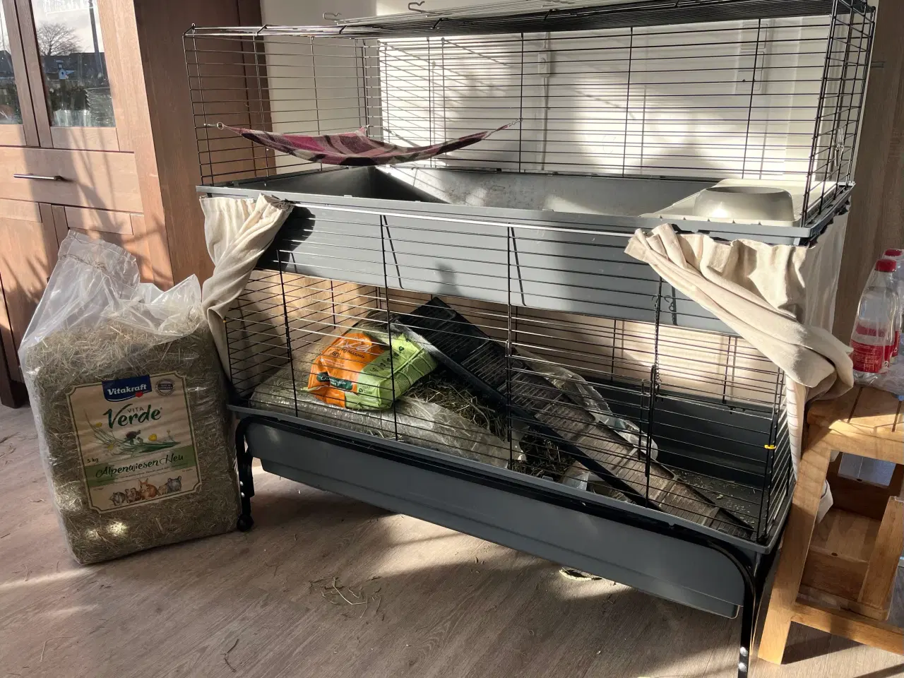 Billede 19 - To hun maresvin sælges med bur og alt tilbehør 