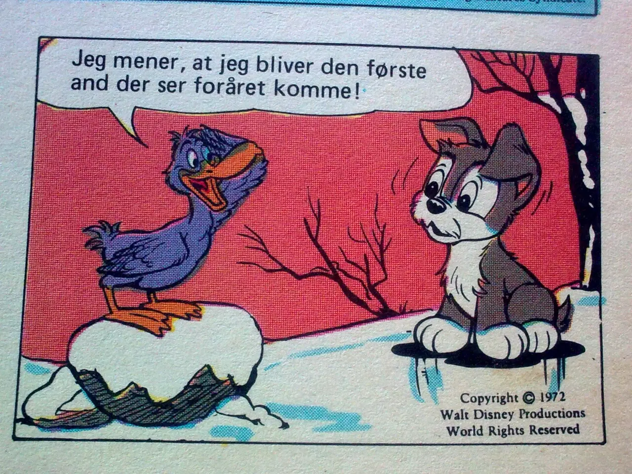 Billede 4 - Vinter voksen VISUEL læsning 1 kg. HUMOR grin!