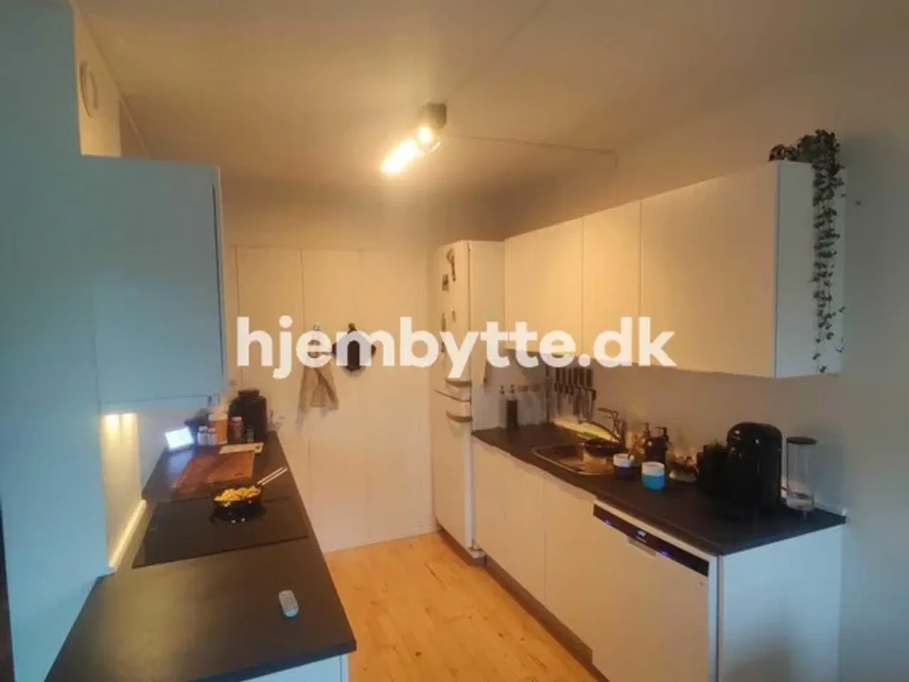 Billede 6 - Hjembytte - Persillehaven