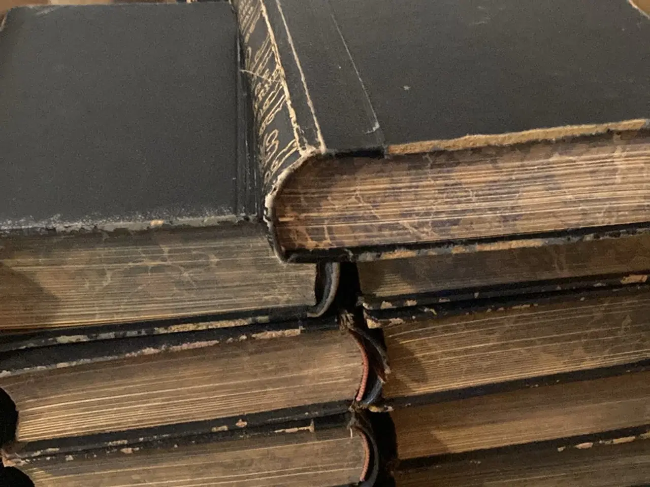 Billede 4 - Nordisk konversations leksikon