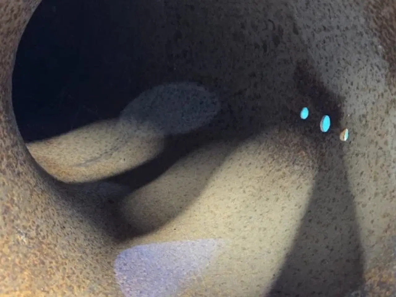 Billede 5 - Laverda 3750 Tømmerør 320775950