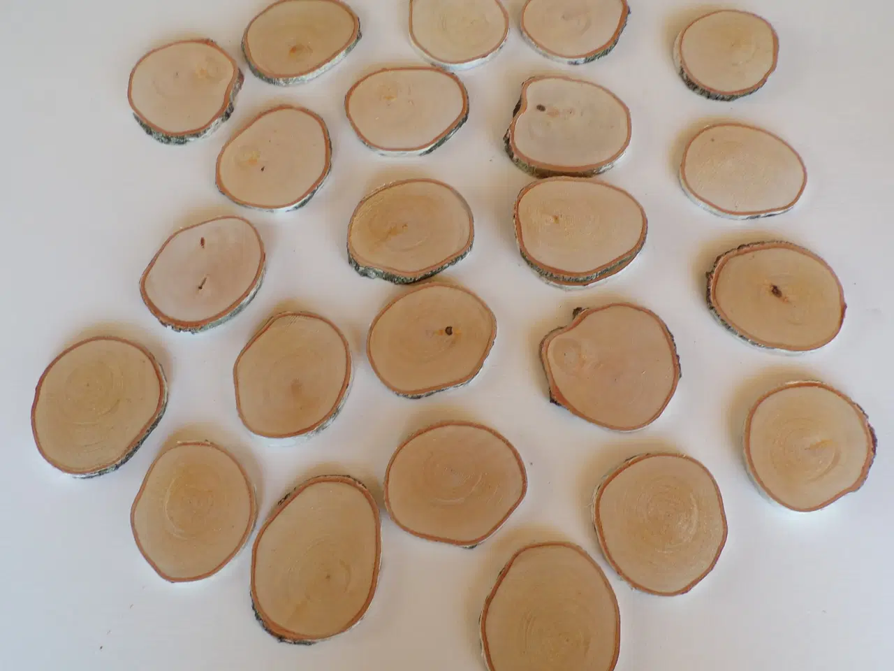 Billede 1 - Birketræsskiver til mange formål 7 - 7,5 cm