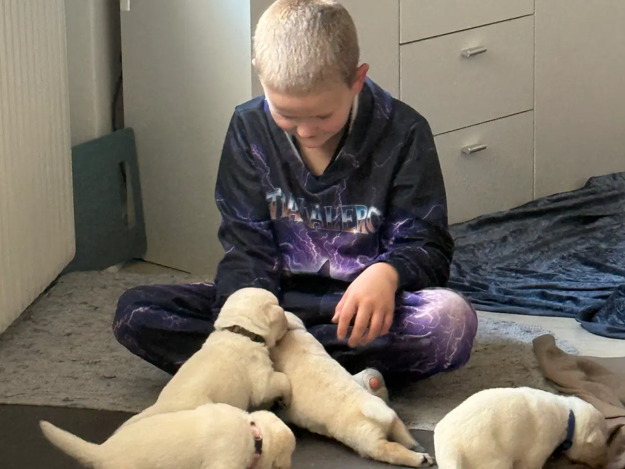 Billede 10 - Øsker familien en blød julegave 2 hanner tilbage