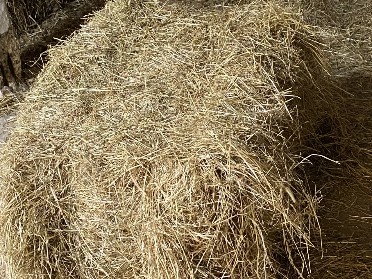 Billede 2 - Små balle hø