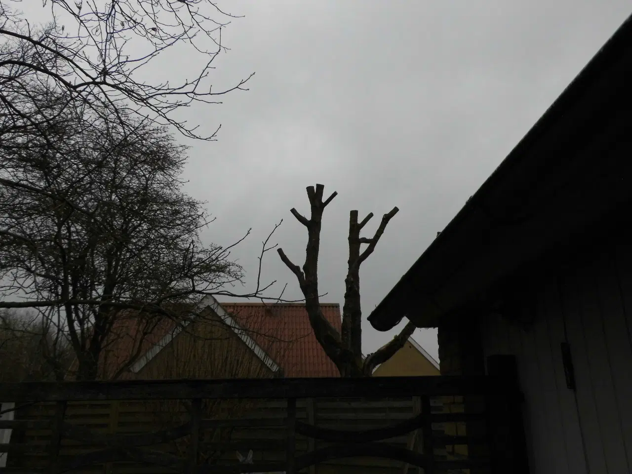 Billede 11 - Medion MD 86929 Digital kamera med 35 x opt. zoom