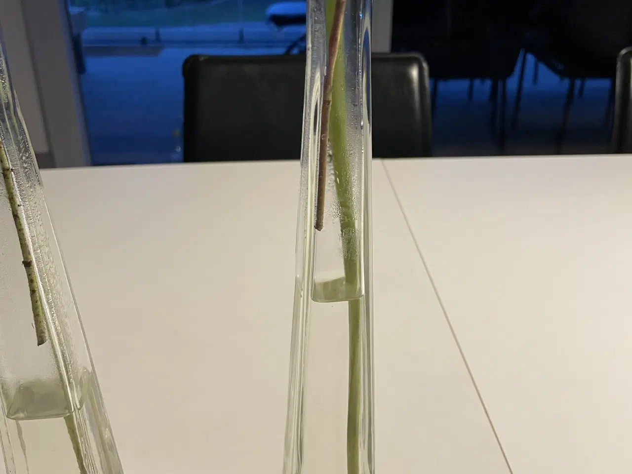 Billede 3 - 18 stk høje slanke vaser