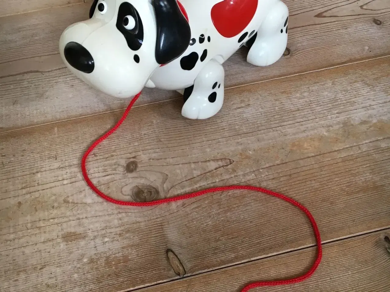 Billede 1 - Musikalsk Dalmatiner hund