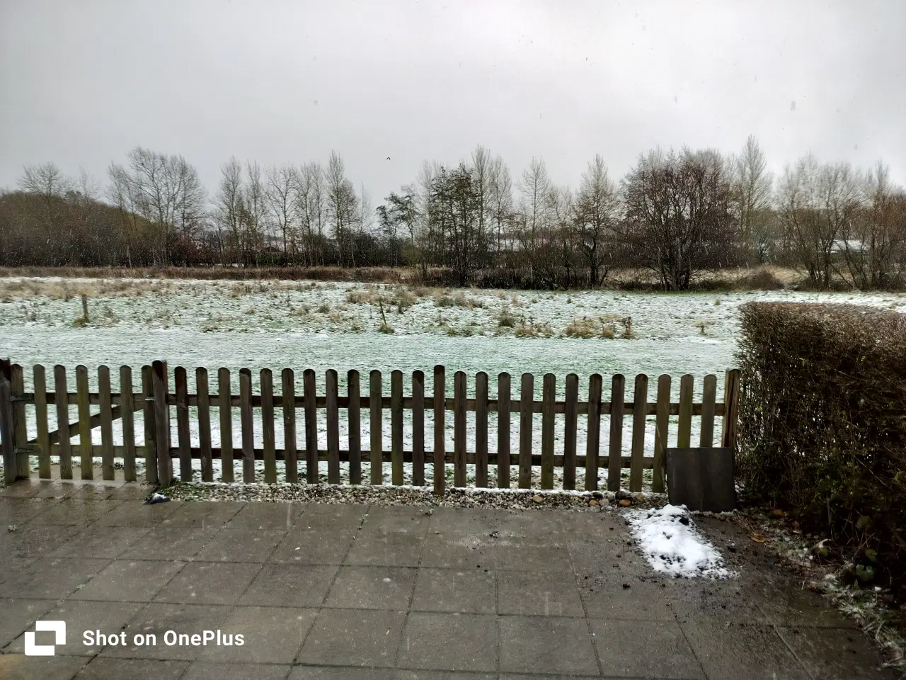 Billede 1 - Nyt kobbertråd til græsplæne