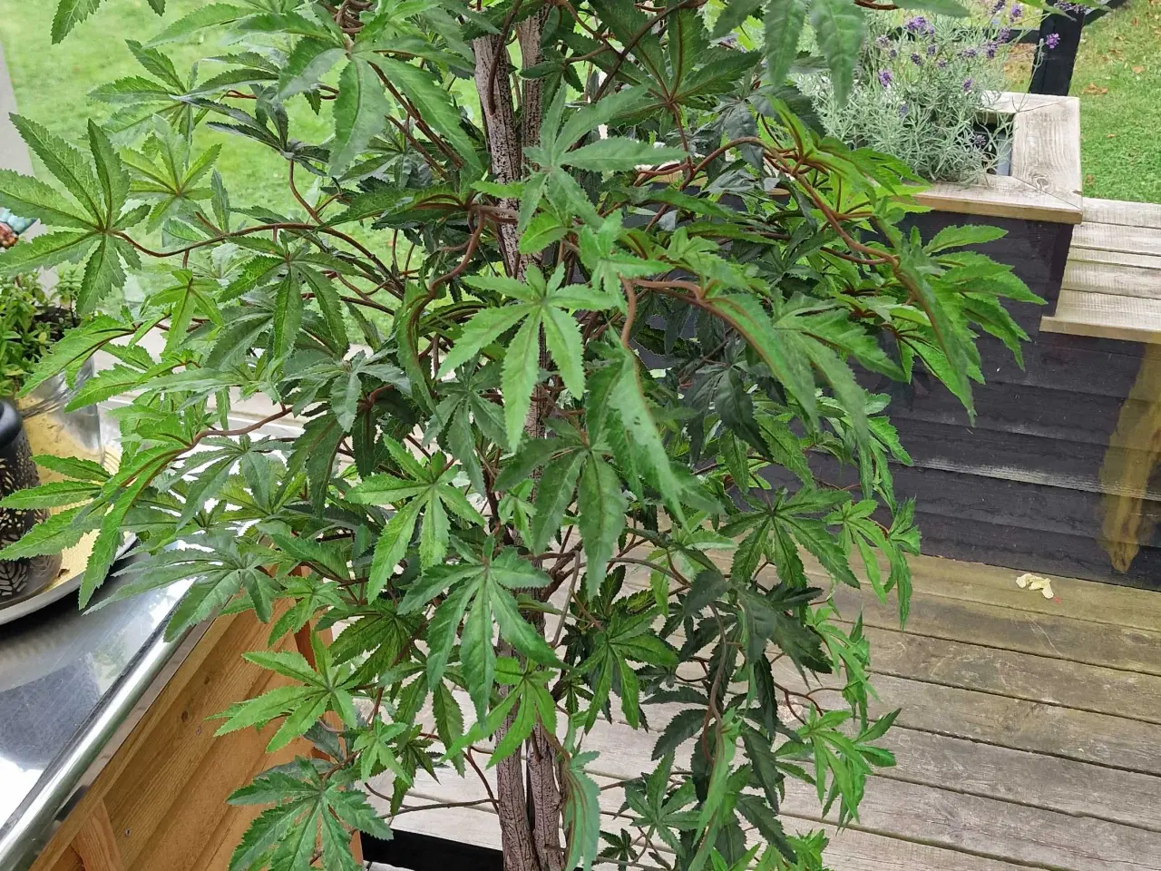 Billede 2 - Kunstig plante