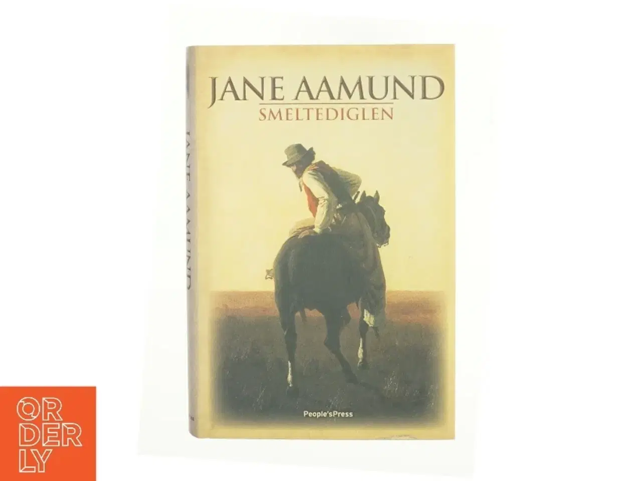 Billede 1 - Smeltediglen : andet bind i slægtskrøniken om de dansk-argentinske indvandrere : roman af Jane Aamund (Bog)