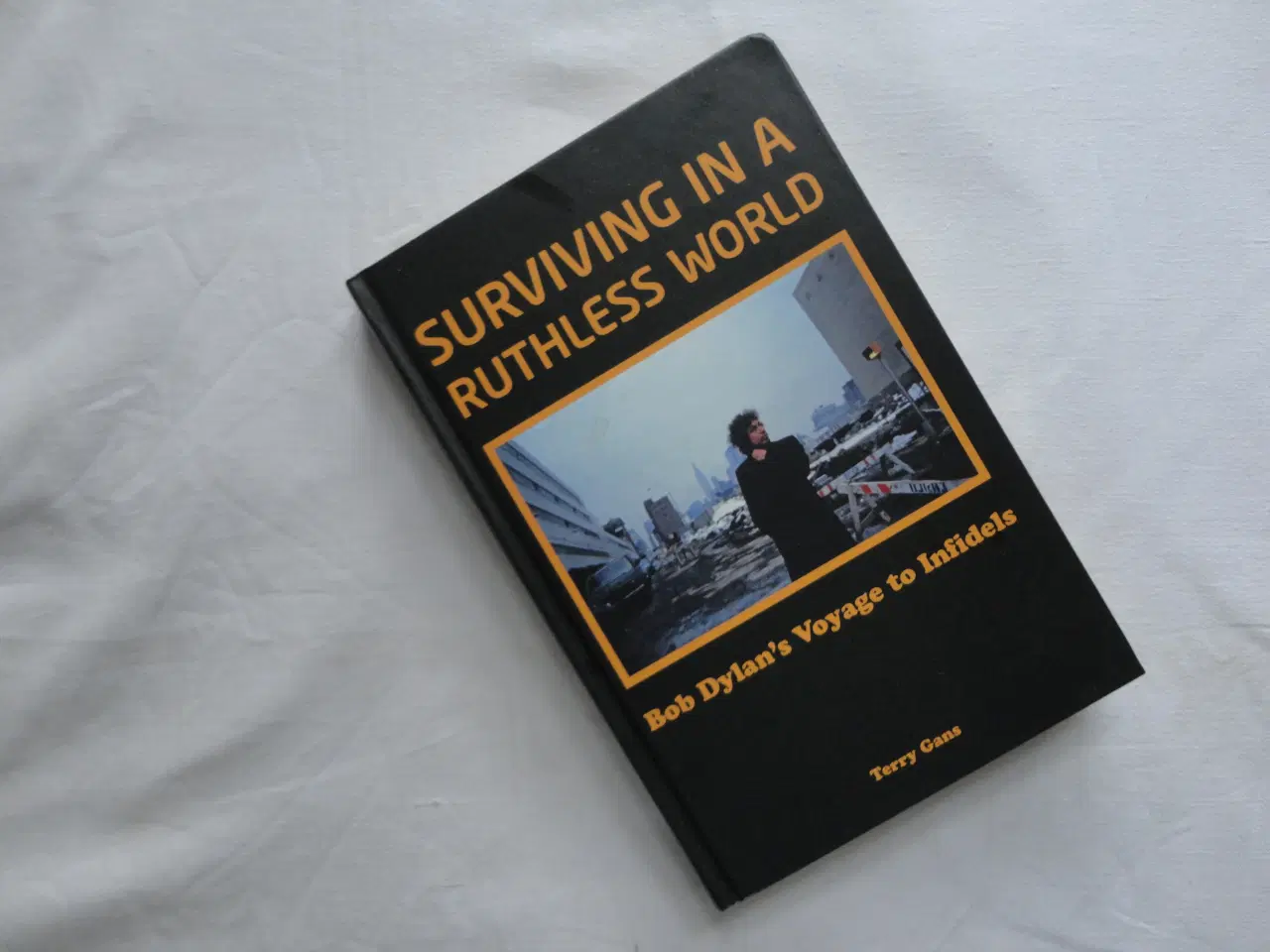 Billede 1 - Surviving in a Ruthless World  :