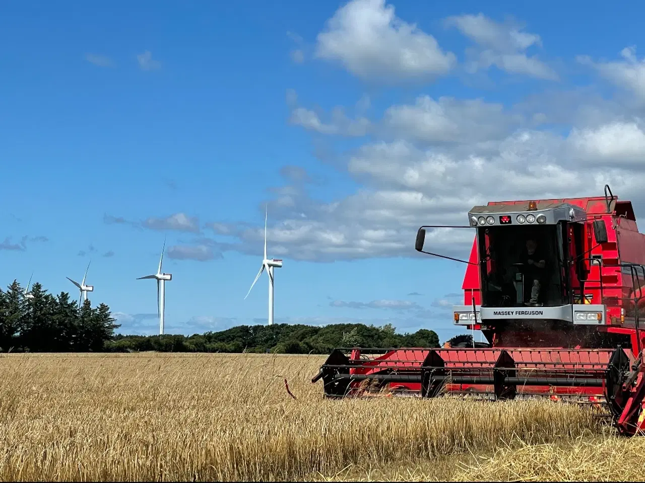 Billede 3 - MF 7252 mejetærsker