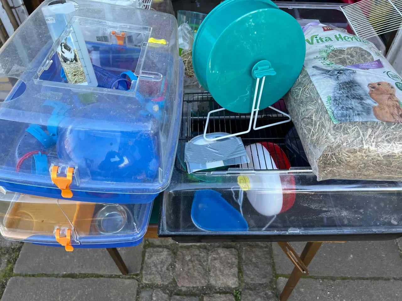 Billede 3 - KÆMPE hamster lot