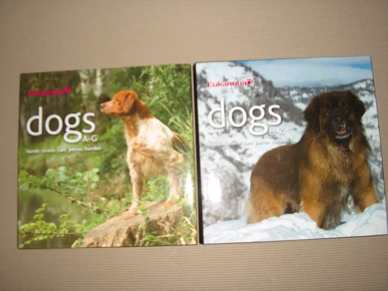 Billede 1 - Dogs hundebøger