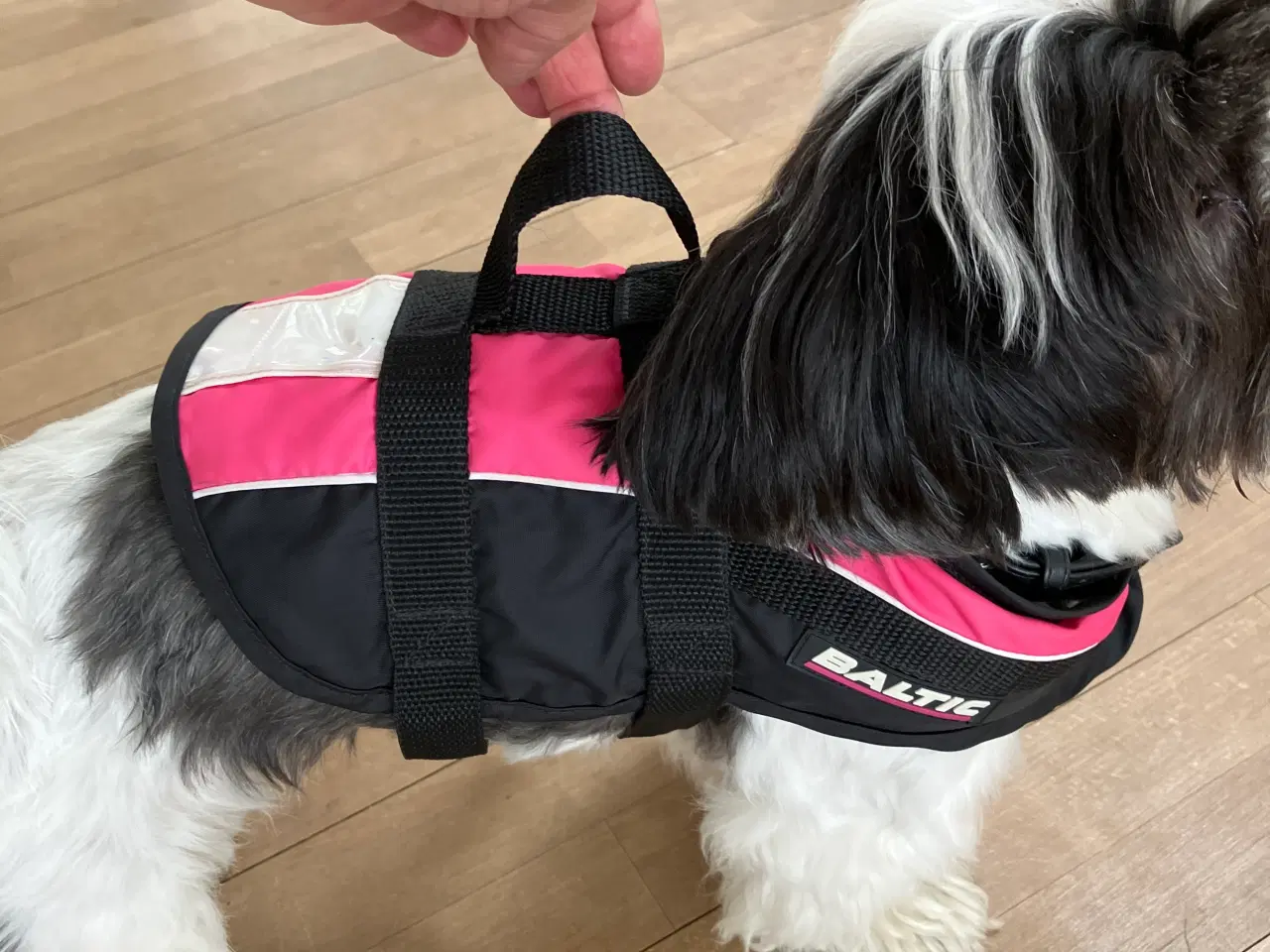 Billede 3 - Redningsvest til lille hund