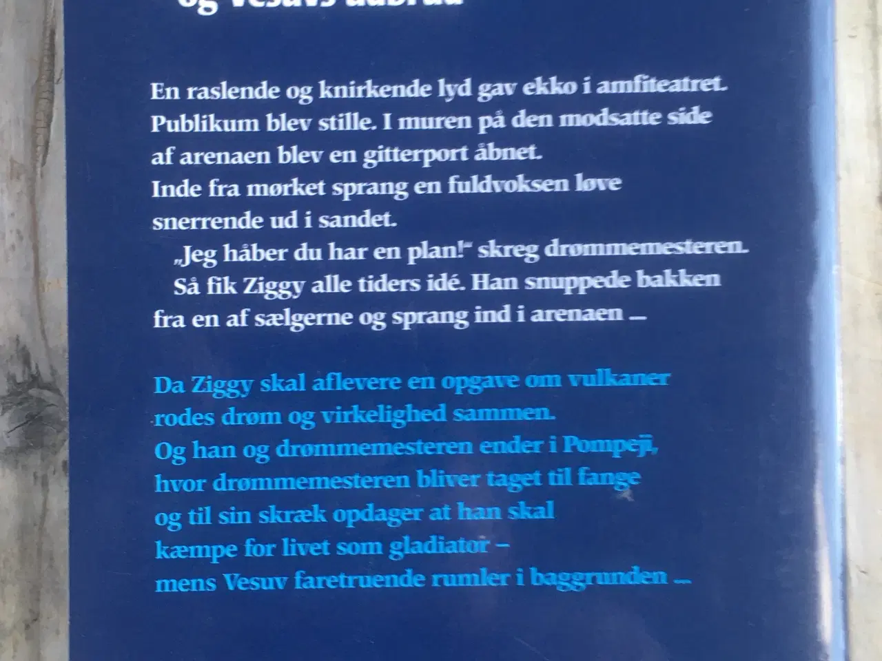 Billede 2 - ZIGGY - og Vesuvs udbrud og Ziggy og faraos maske