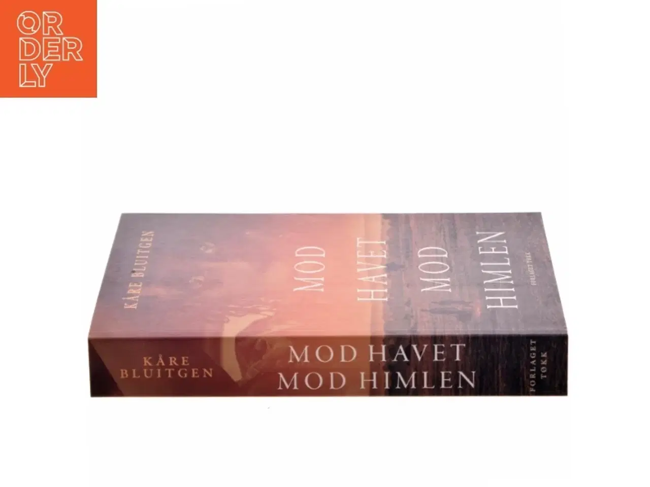 Billede 2 - Mod havet mod himlen af Kåre Bluitgen (Bog)