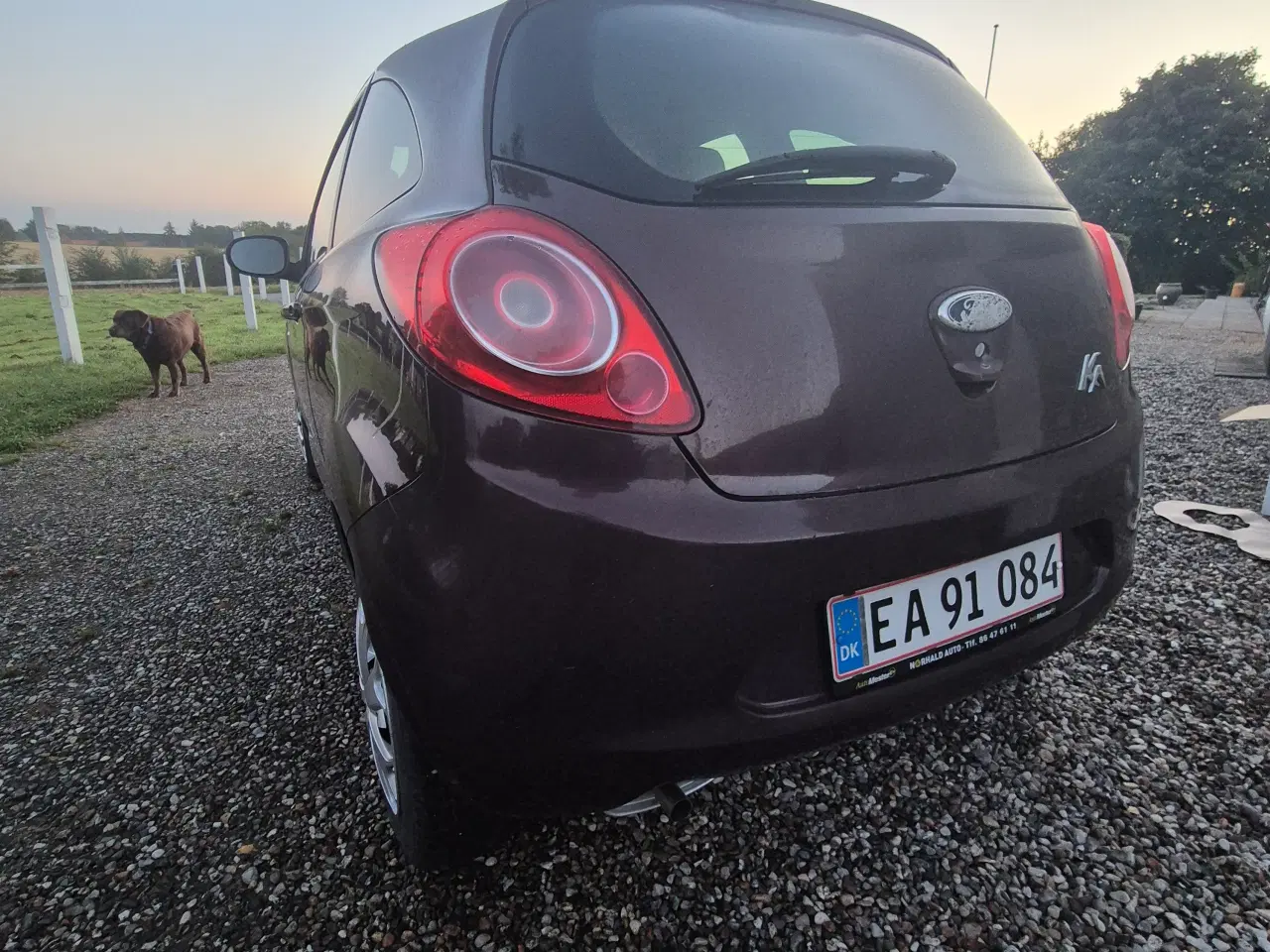 Billede 3 - Ford Ka 1,2 NYSYNET lav km